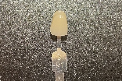 3M1
